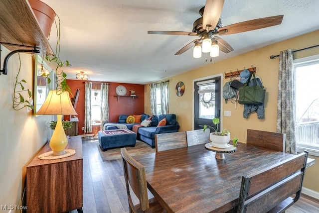 1865 9th St SW, Akron, OH 44314 - dining room featuring plenty of natural light, wood finished floors, and ceiling fan