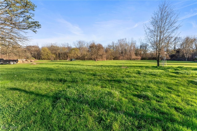 view of yard with a rural view