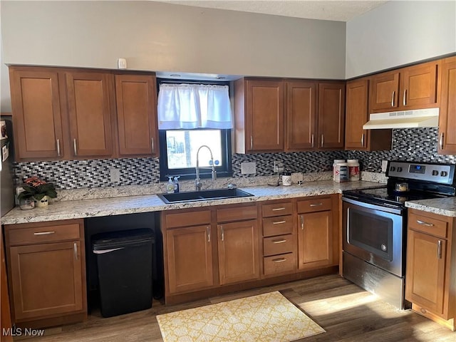 kitchen with wood finished floors, a sink, decorative backsplash, stainless steel electric range, and under cabinet range hood