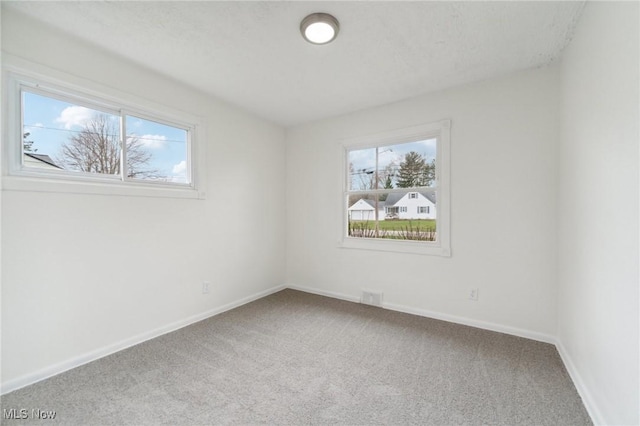 carpeted empty room with baseboards and a wealth of natural light