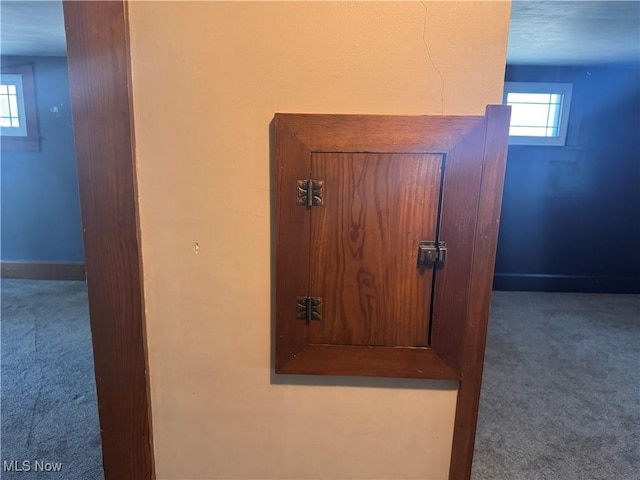 204 N Spring St, Loudonville, OH 44842 - detailed view of carpet floors and baseboards