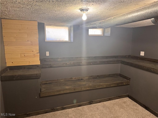 204 N Spring St, Loudonville, OH 44842 - basement featuring a textured ceiling and carpet