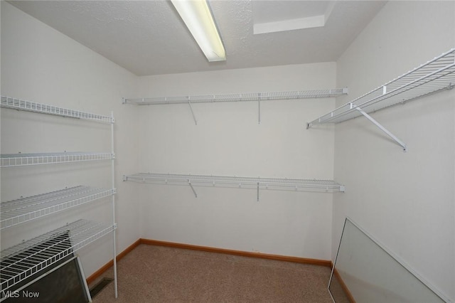 spacious closet featuring carpet floors