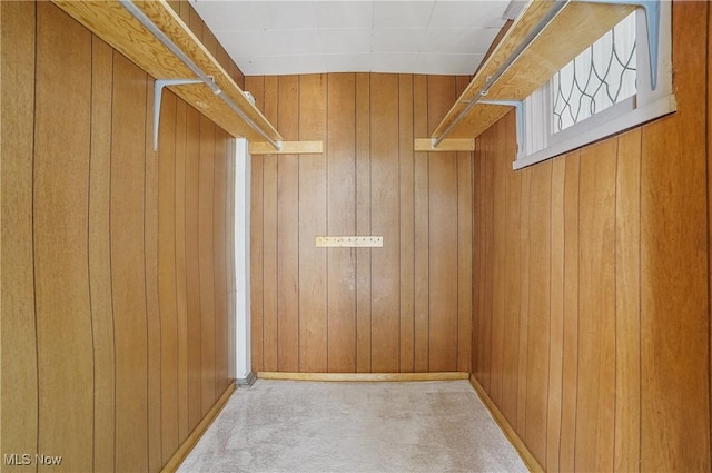 walk in closet featuring carpet floors