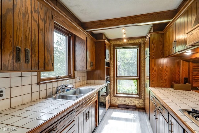 1809 Heritage Cir, Dover, OH 44622 - kitchen with stainless steel dishwasher, light wood-style flooring, a sink, tasteful backsplash, and tile counters