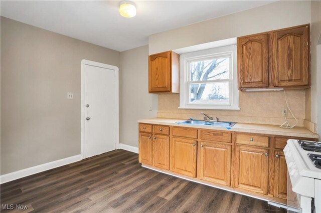 3533 Carlyle Ave, Cleveland, OH 44109 - kitchen featuring light countertops, gas range, dark wood-style flooring, and a sink