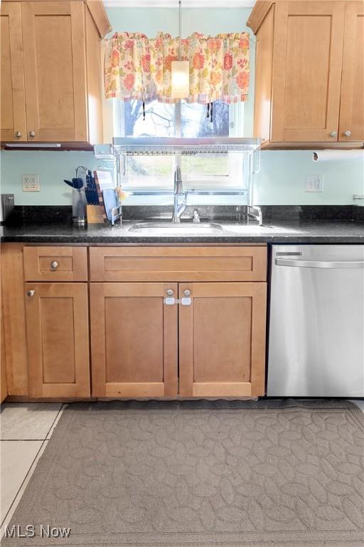 kitchen with dark countertops, stainless steel dishwasher, and a sink