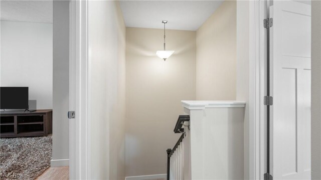 820 Buckeye Dr, Akron, OH 44303 - photo 21