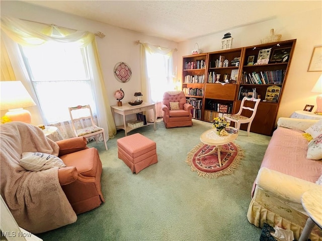 living area with a textured ceiling and carpet flooring