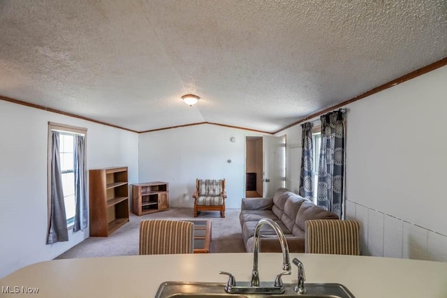carpeted living area with vaulted ceiling, a sink, a textured ceiling, and ornamental molding