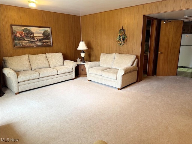 213 Stardust Dr, Wintersville, OH 43953 - living room with carpet and wooden walls