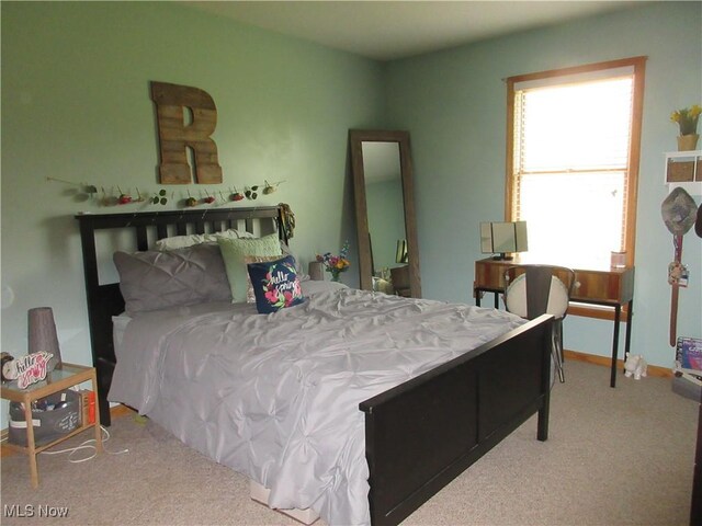 6463 Bel Air Dr, Andover, OH 44003 - photo 19