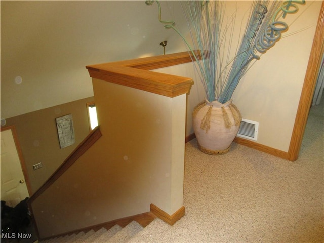 6463 Bel Air Dr, Andover, OH 44003 - photo 23