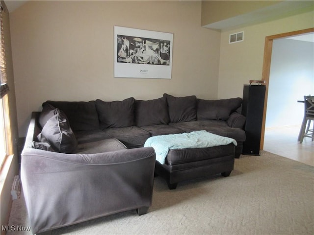 6463 Bel Air Dr, Andover, OH 44003 - photo 12