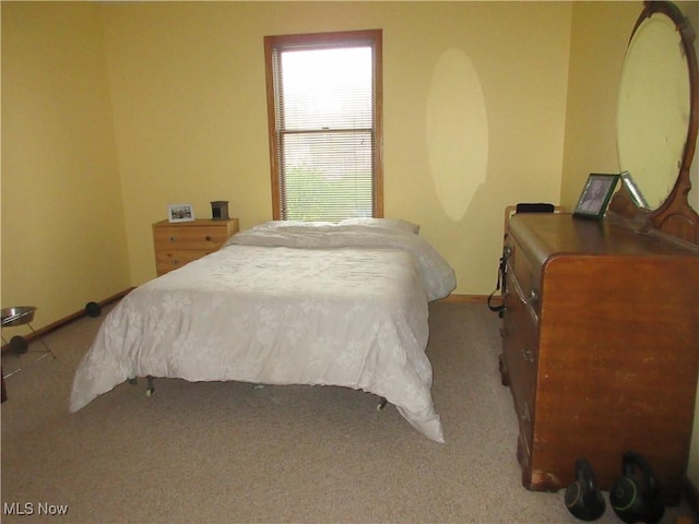 6463 Bel Air Dr, Andover, OH 44003 - photo 20