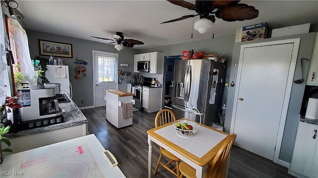 59011 Cherry Hill Rd, Byesville, OH 43723 - kitchen featuring stainless steel appliances, a ceiling fan, white cabinets, and dark wood-style flooring