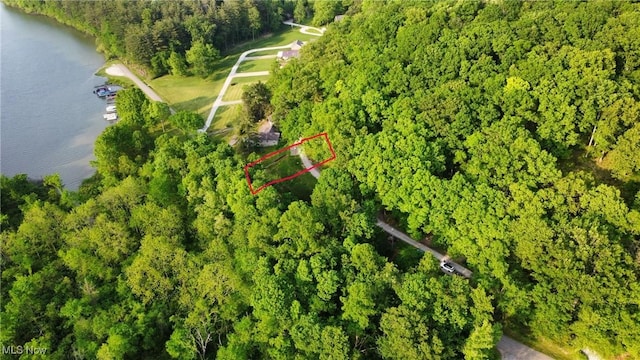 31713 Tappan Hills Rd, Tippecanoe, OH 44699 - aerial overview of property's location with property boundaries highlighted and a nearby body of water