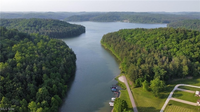 31713 Tappan Hills Rd, Tippecanoe, OH 44699 - drone / aerial view of a heavily wooded area and a nearby body of water