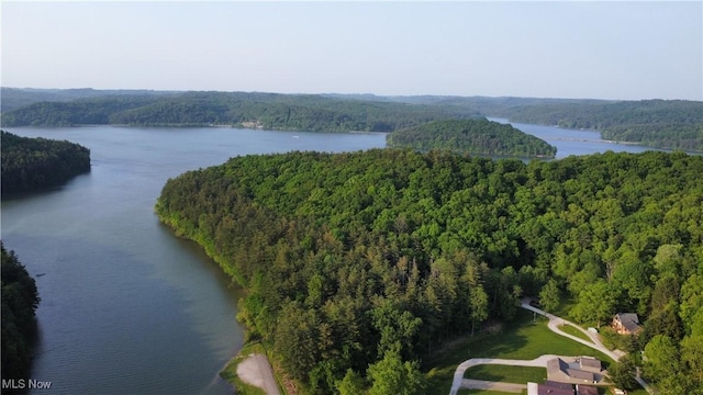 31713 Tappan Hills Rd, Tippecanoe, OH 44699 - drone / aerial view of a forest and a large body of water