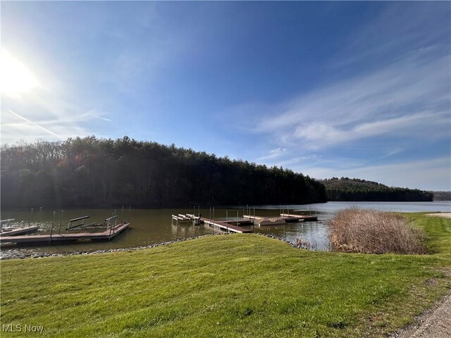 31713 Tappan Hills Rd, Tippecanoe, OH 44699 - dock featuring a water view, a lawn, and a view of trees