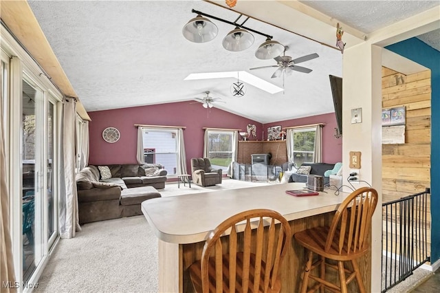 1611 Township Road 1610, Ashland, OH 44805 - interior space featuring carpet floors, a ceiling fan, vaulted ceiling with skylight, and a textured ceiling