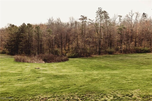 25900 Township Road 26, Coshocton, OH 43812 - view of yard