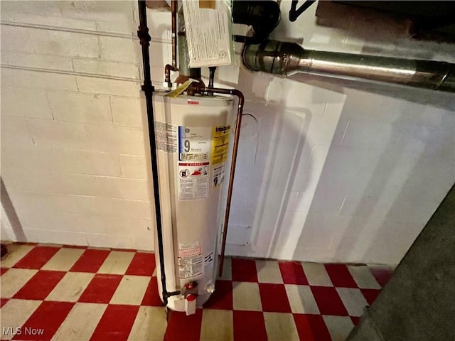 utility room with gas water heater