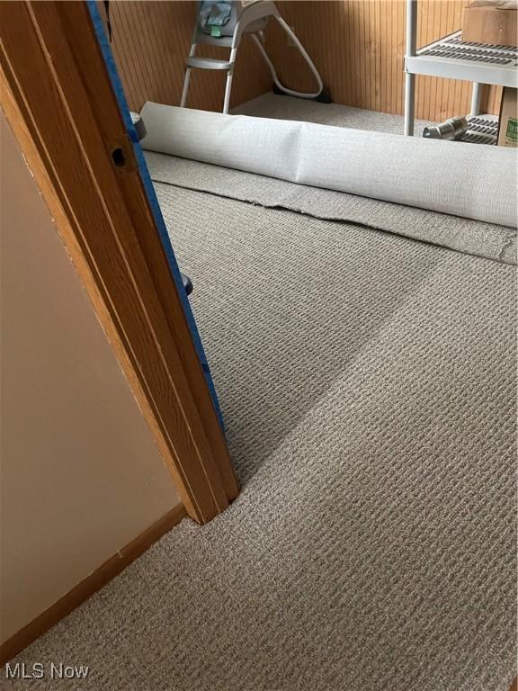 1239 Woodledge Dr, Mineral Ridge, OH 44440 - interior details with baseboards and carpet floors