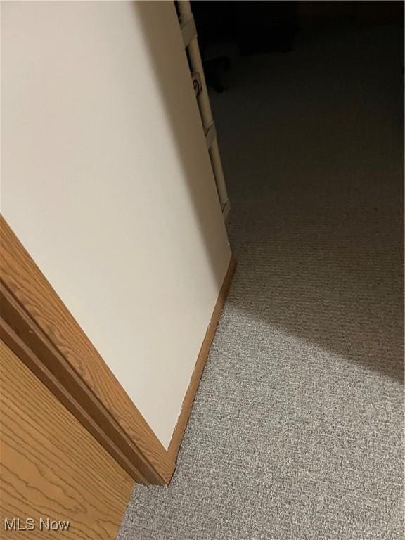 1239 Woodledge Dr, Mineral Ridge, OH 44440 - interior details featuring carpet