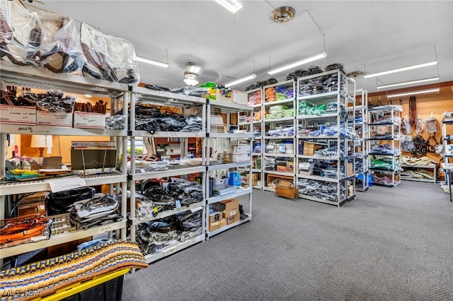 storage featuring attic access