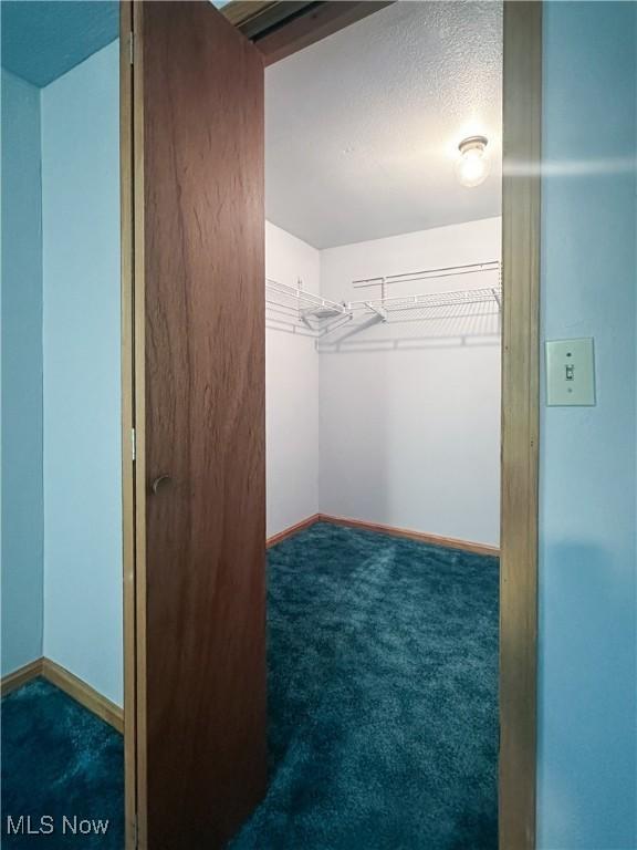 3799 Larchmont Ave NE, Bazetta, OH 44483 - walk in closet featuring carpet flooring