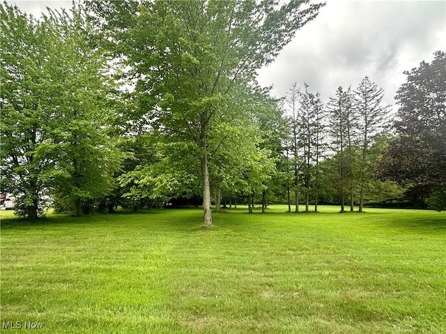 3799 Larchmont Ave NE, Bazetta, OH 44483 - view of grassy yard with view of scattered trees