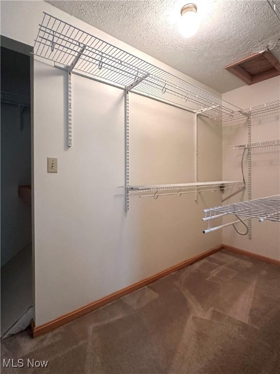 3799 Larchmont Ave NE, Bazetta, OH 44483 - walk in closet with carpet