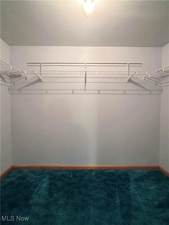 3799 Larchmont Ave NE, Bazetta, OH 44483 - spacious closet with carpet flooring