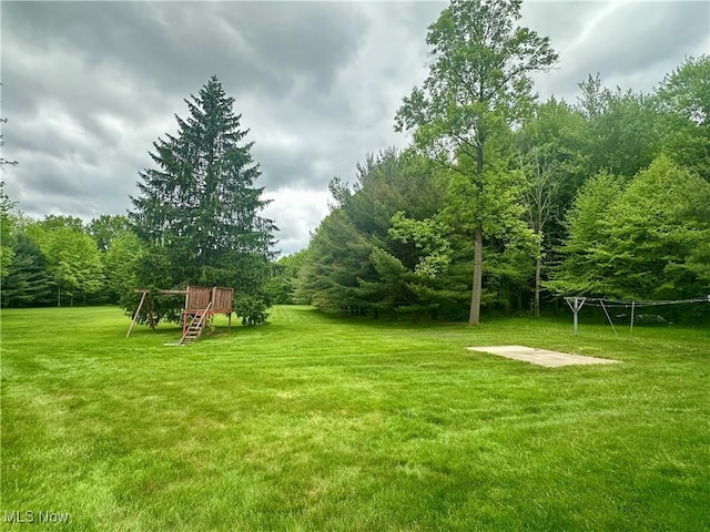 3799 Larchmont Ave NE, Bazetta, OH 44483 - view of grassy yard with a forest view