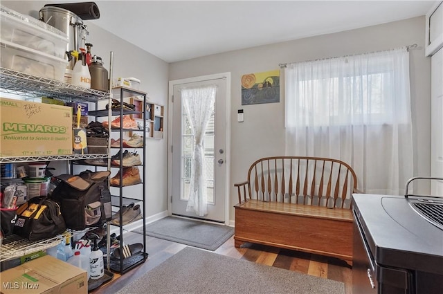 foyer entrance featuring wood finished floors and baseboards