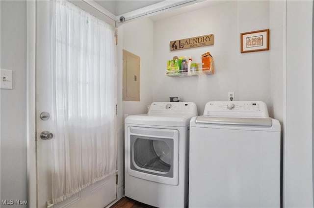 laundry room featuring separate washer and dryer, electric panel, and laundry area