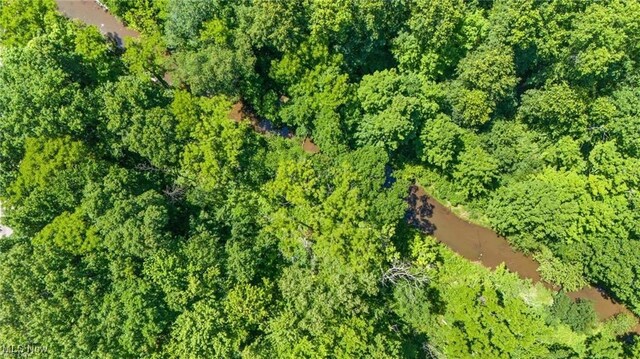 10683 Knowlton Rd, Garrettsville, OH 44231 - photo 29