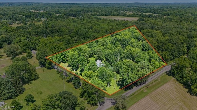 10683 Knowlton Rd, Garrettsville, OH 44231 - photo 36