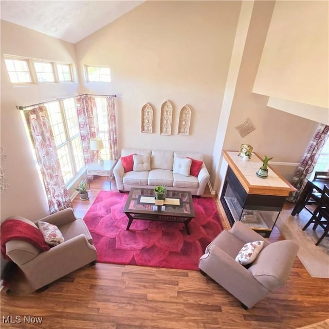 living room featuring wood finished floors, a healthy amount of sunlight, and high vaulted ceiling