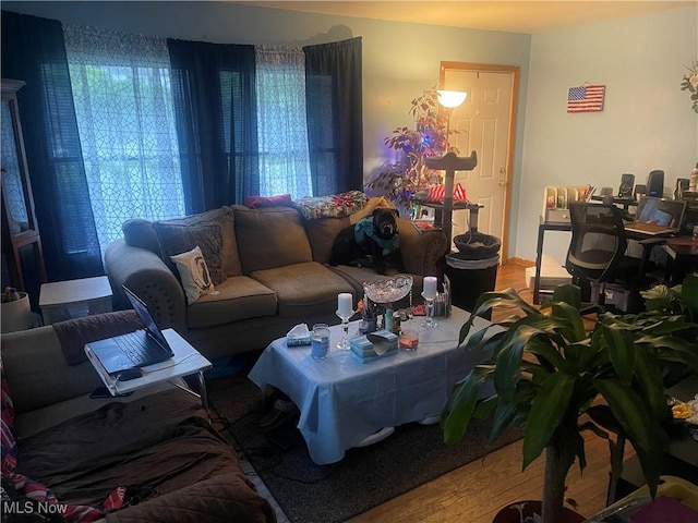 1166 Raymond St NW, Warren, OH 44485 - living area with hardwood / wood-style flooring