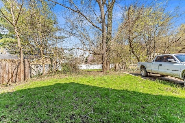 201 Alberti Ct, Akron, OH 44310 - view of yard