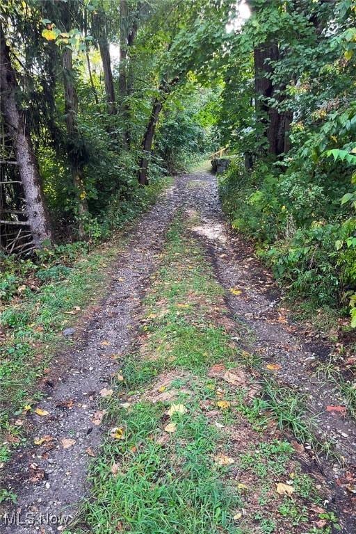 view of street with a wooded view