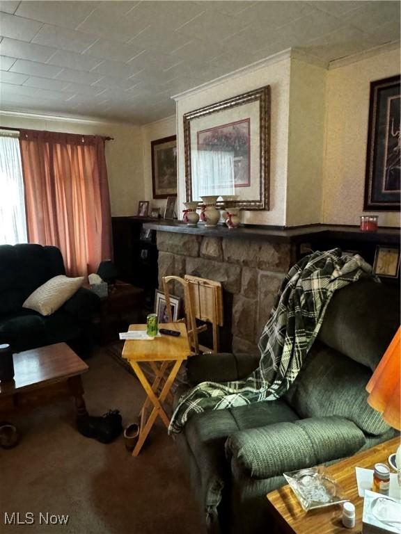 1514 Commerce St, Wellsville, OH 43968 - living area with carpet floors and a fireplace