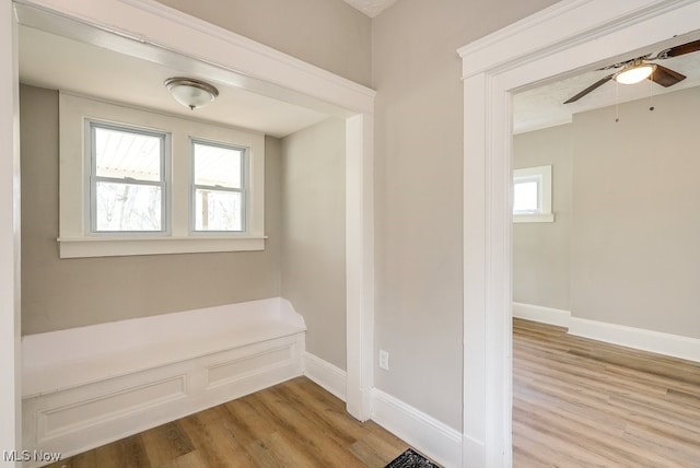 interior space featuring ceiling fan, baseboards, and light wood-style floors