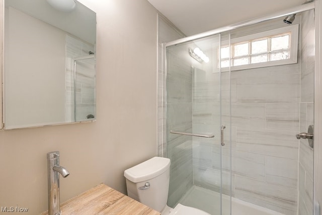 full bath with toilet, a stall shower, and a sink
