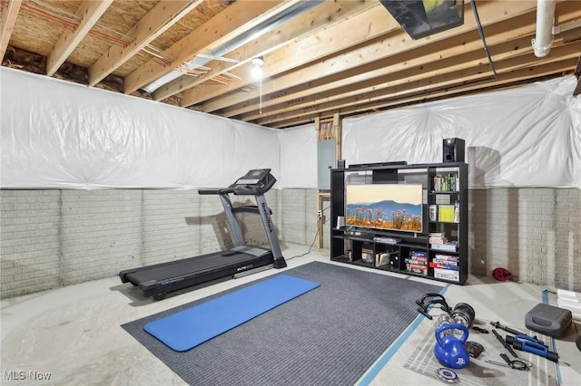 exercise area featuring electric panel