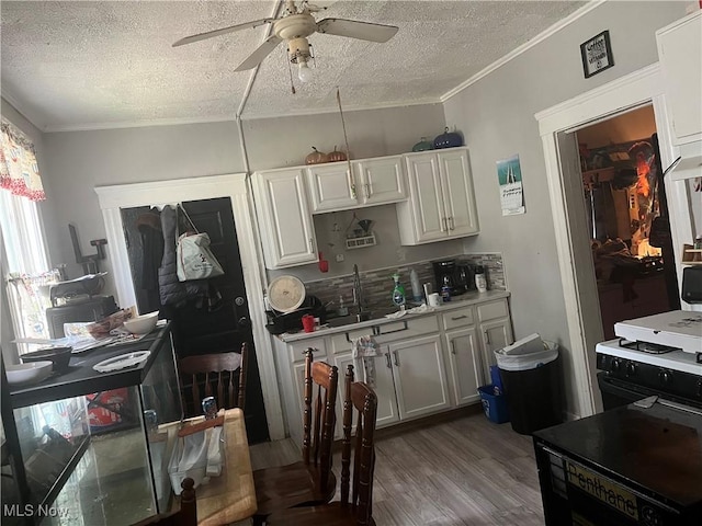kitchen with ceiling fan, ornamental molding, a sink, and a textured ceiling