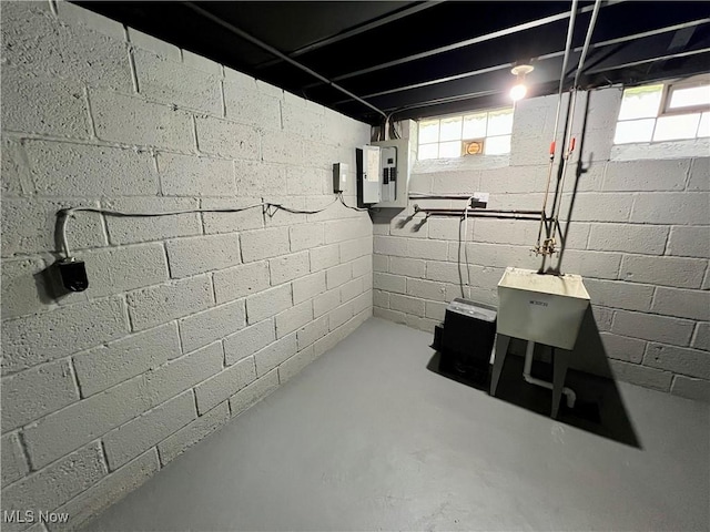 basement featuring plenty of natural light and electric panel