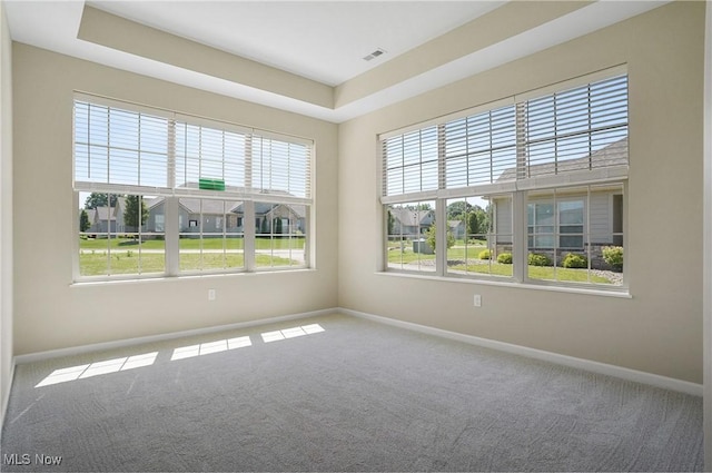 9264 Sharrott Rd Unit 1002, Poland, OH 44514 - carpeted spare room featuring baseboards and a tray ceiling